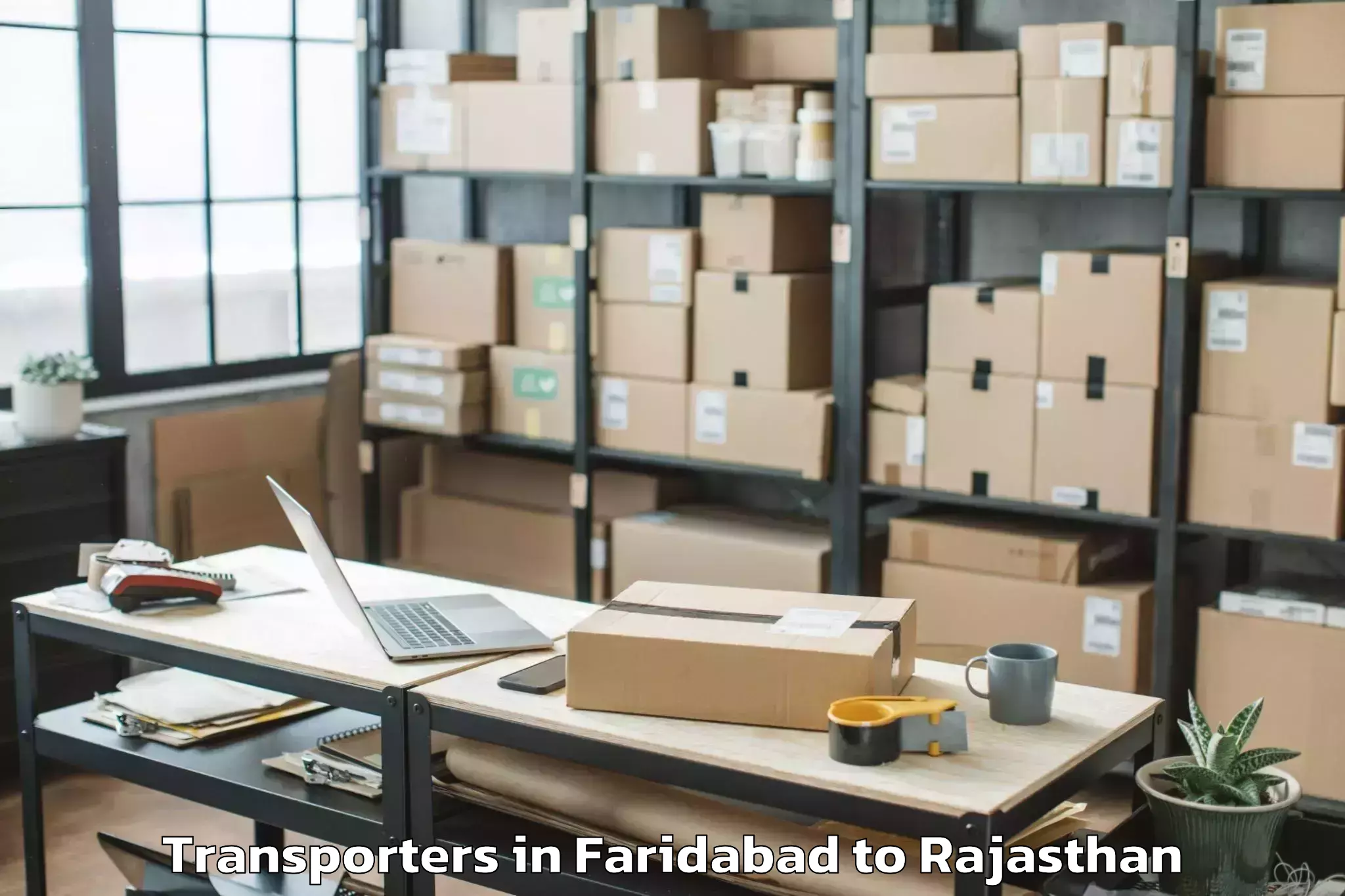 Affordable Faridabad to Bari Sadri Transporters